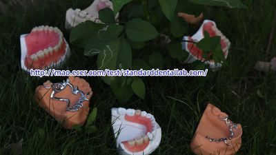 Standard Dental Lab Co., Limited производственная линия производителя