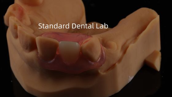 Стоматологическая TCS Valplast Гибкие частичные зубные протезы Nesbit Valplast Finish Китайская стоматологическая лаборатория Valplast Clamp