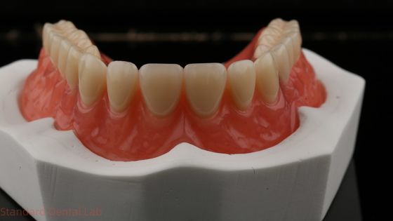 Dentsply Lucitone 199 Акриловый протез для полного естественного вида