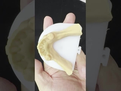 Металлические сплавы Частичный кобальт Хромные протезы Ивоклар Шефтнер Удобный металлический каркас